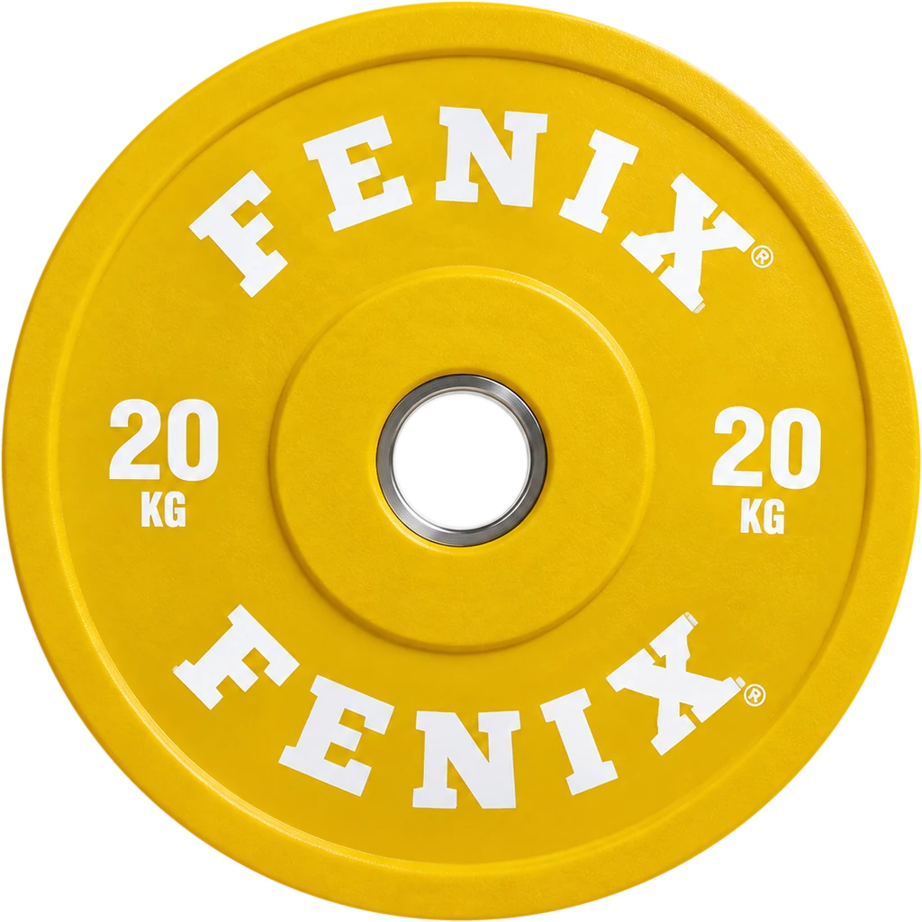 Disco FENIX apoyado a la derecha